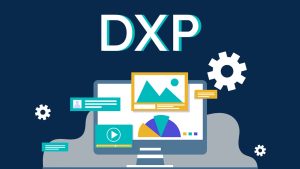 Why the world is moving towards DXPs: Know what they are